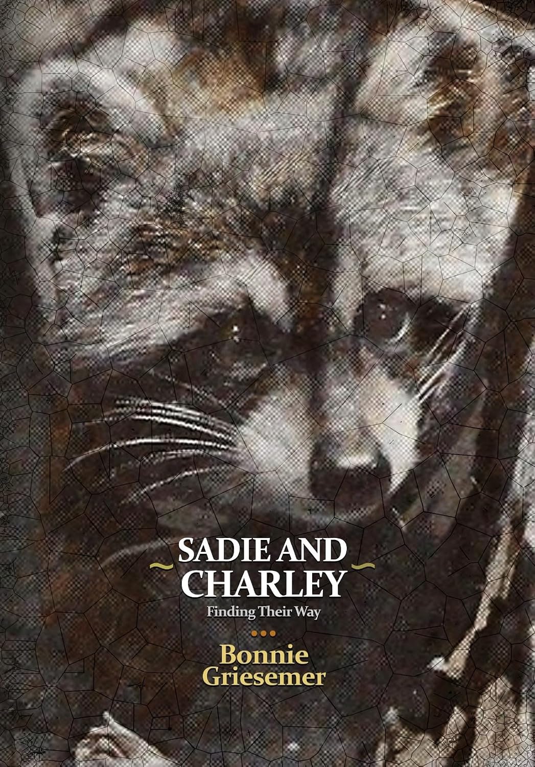 Amazon.com: Sadie and Charley Finding Their Way eBook : Griesemer ...