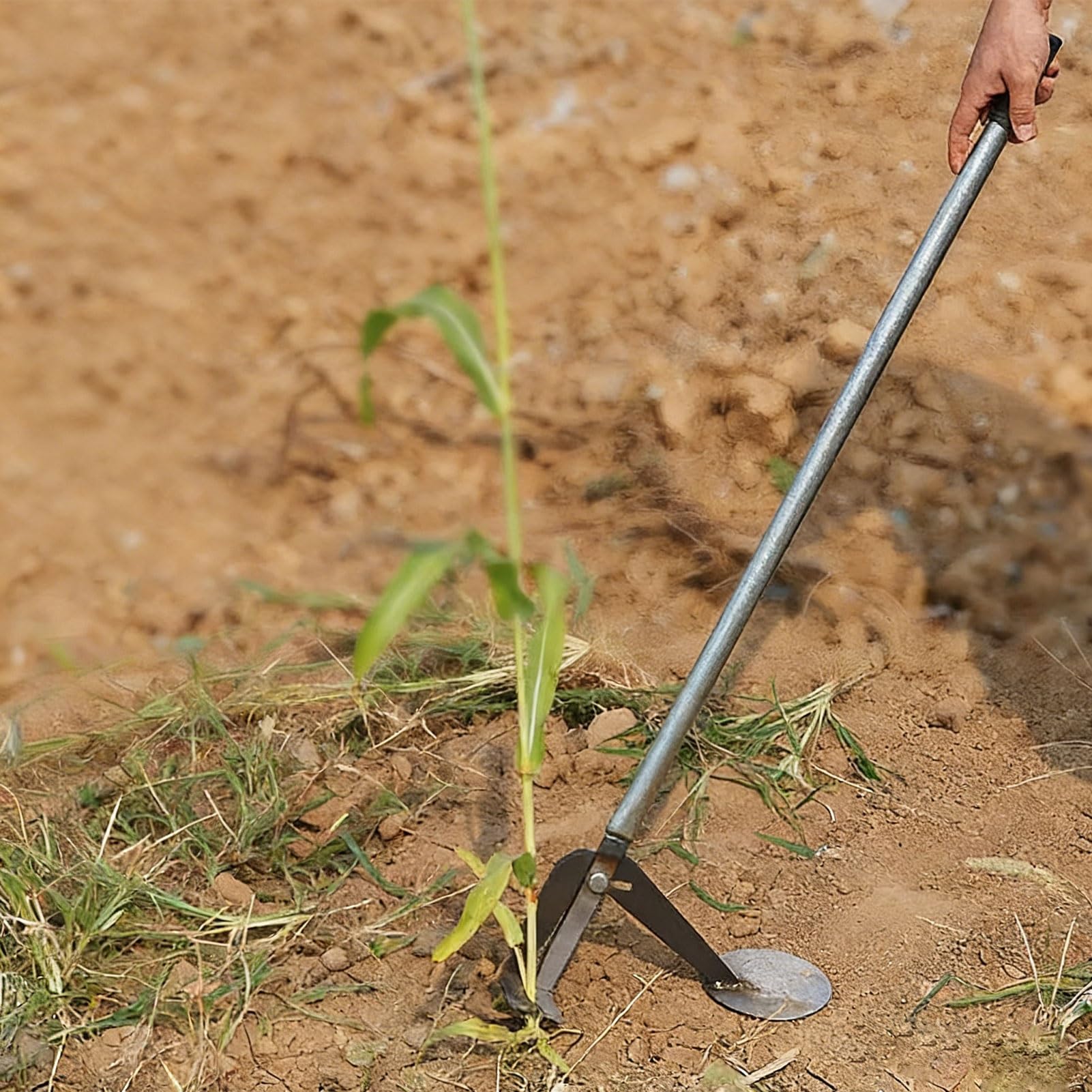 Arracheur de jeunes arbres sans mal de dos : extracteur de racines ergonomique debout