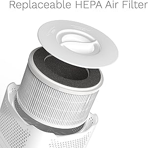 10 Best Air Purifiers for Pets 2