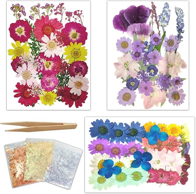 Amazon.co.uk dried flower petals