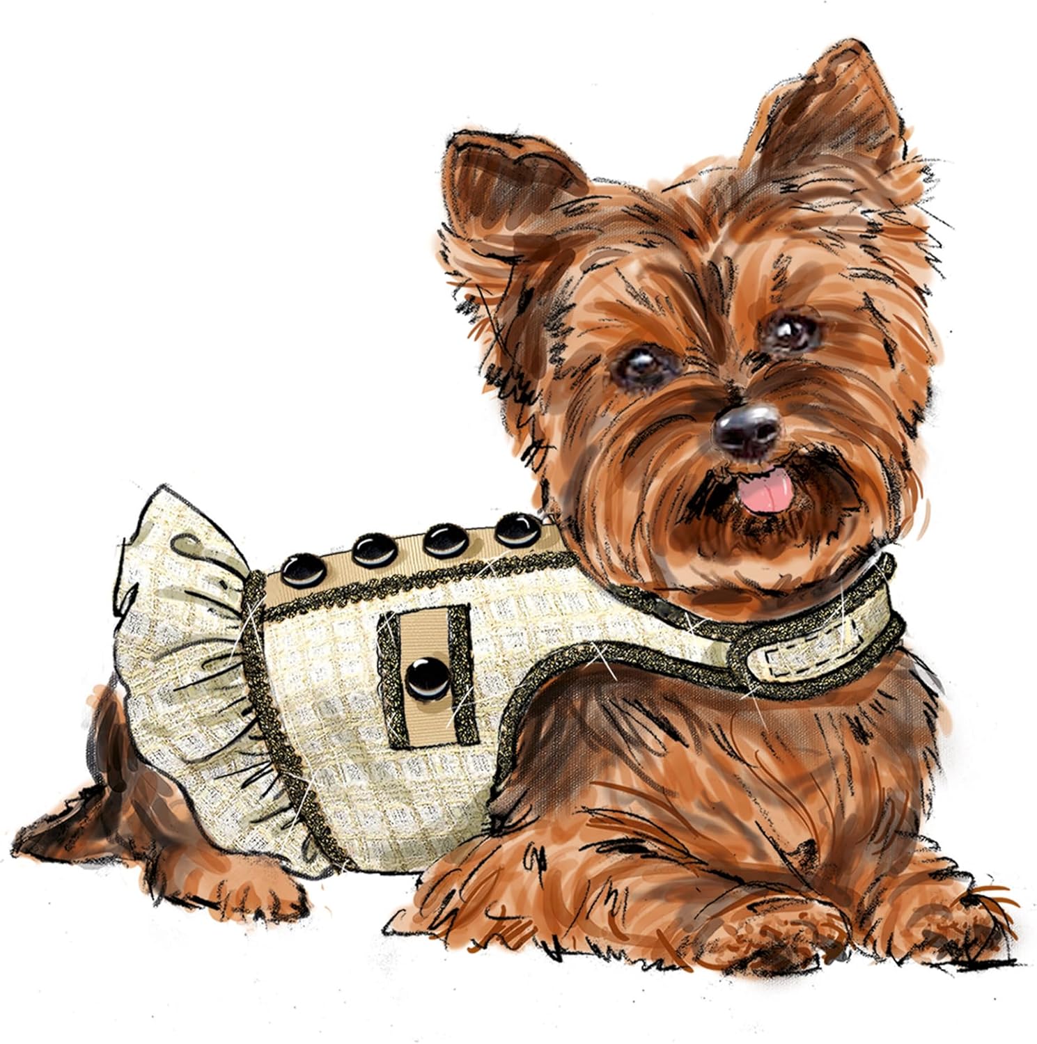 Simplicity SS9970A Lined and Padded Dog Coats Sewing Pattern Packet, Design Code S9970, Sizes XXS-XS-S-M, Multicolor