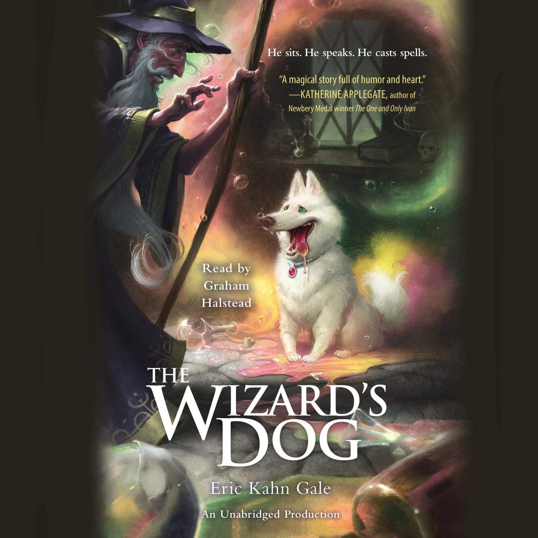 Cover art for The Wizard's Dog
