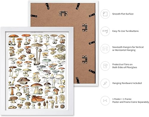 Miniatura 65 de Poster Master Póster vintage de orquídea, estampado de flores retro, arte de pared de plantas exóticas, arte botánico, regalo para hombres y