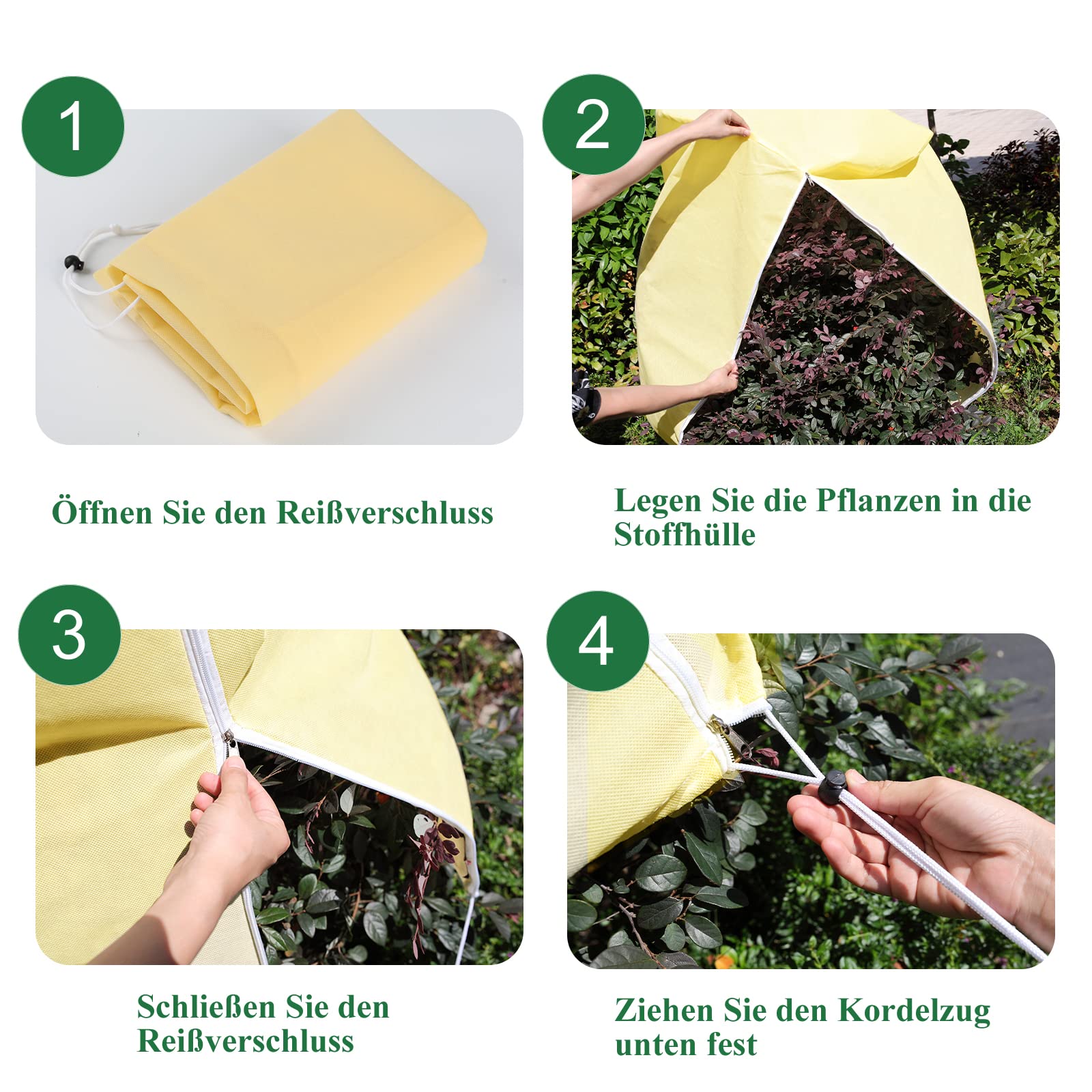 fungisan olivenbaum Olivenbaum Dnger von Flora Boost