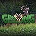 GrowingDeer