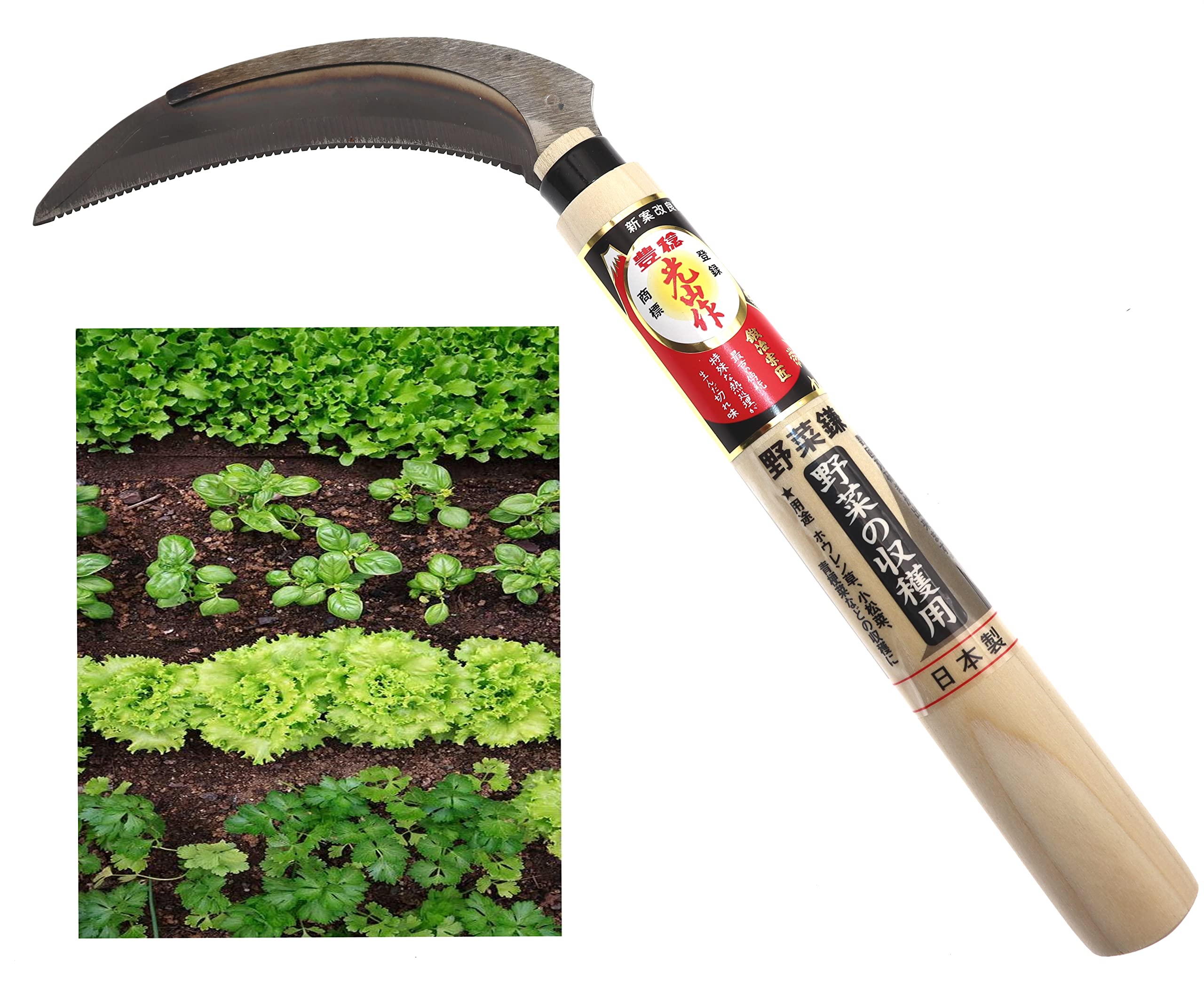 Faucille scie dents manuel japonaise acier SK-5 outil jardinage