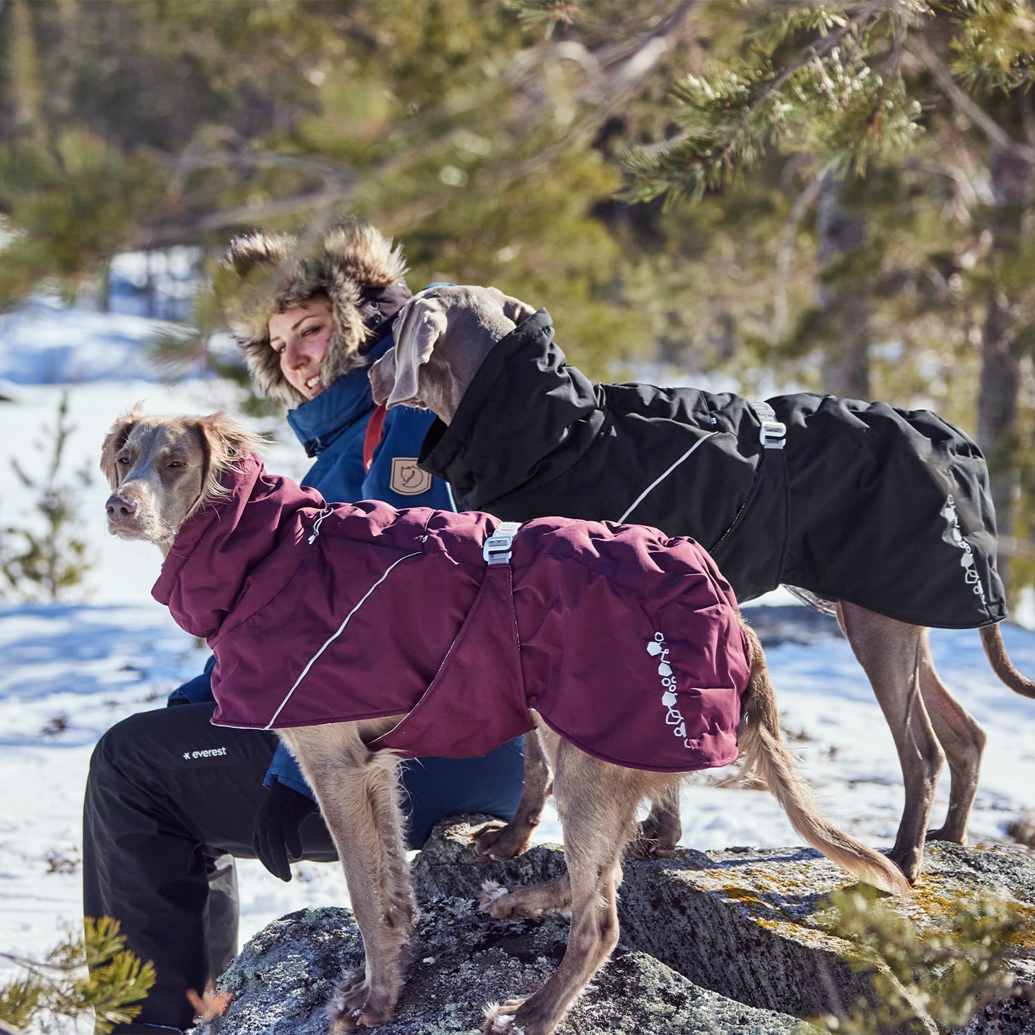 Hurtta Extreme Warmer III ECO, Cold Weather Winter Dog Coat, Eggplant, 22 in