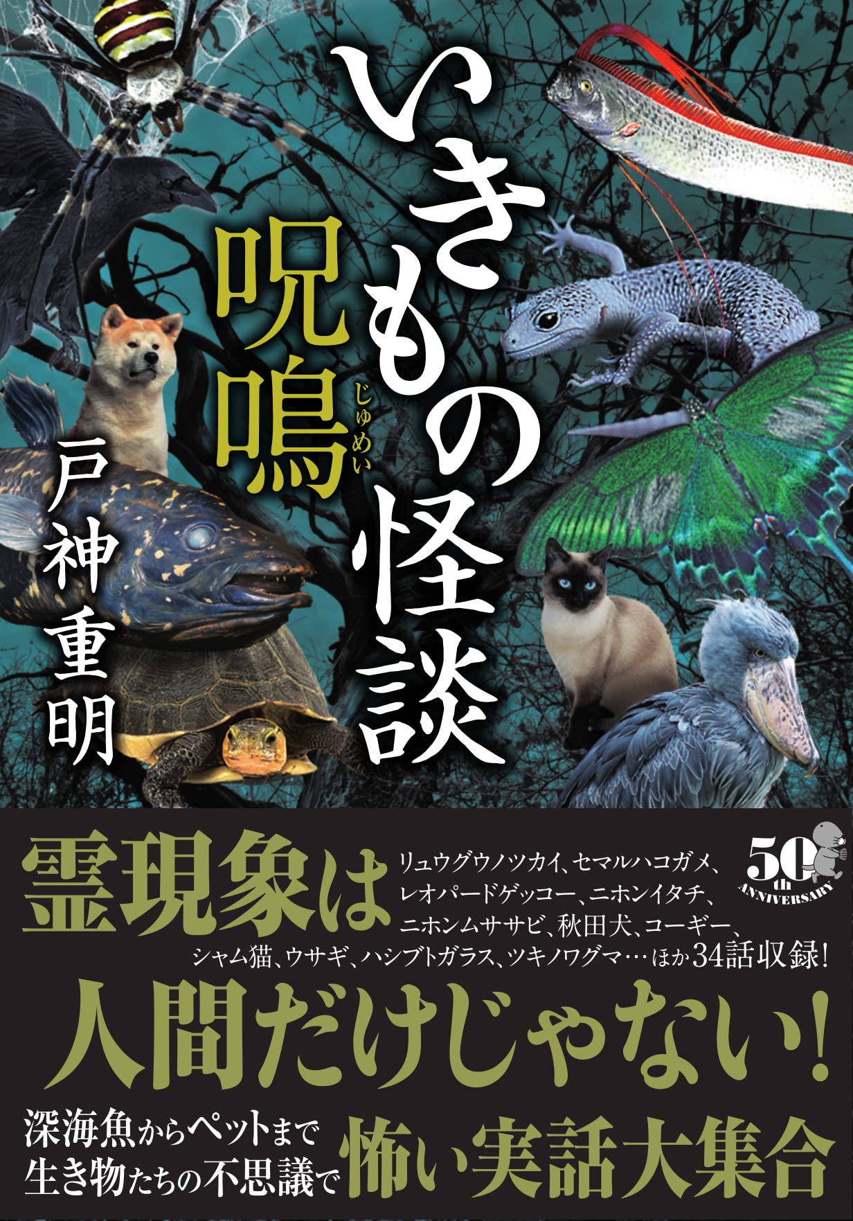 小さな猫が白い夜灯に飽きる