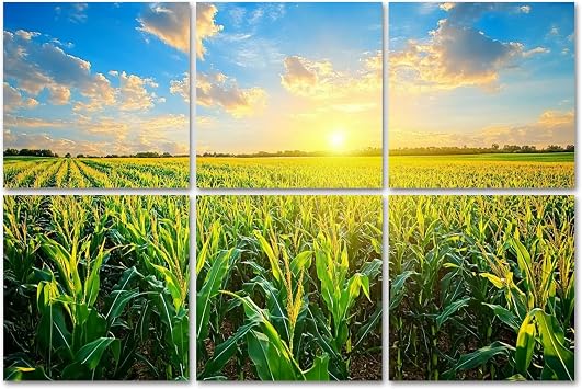 Art Acoustic Panels sunrise corn field Acoustical Soundproof Wall Panel with Self-Adhesive Decorative Sound Absorbing Panel Acoustic Treatment