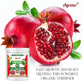 Agreno Pomegranate Buds and Fruits Booster, Essential Powerful Organic Fertilizer Granule for Fast Growth and Heavy Fruiting of all types of Pomegranate Plants. (450 gm)