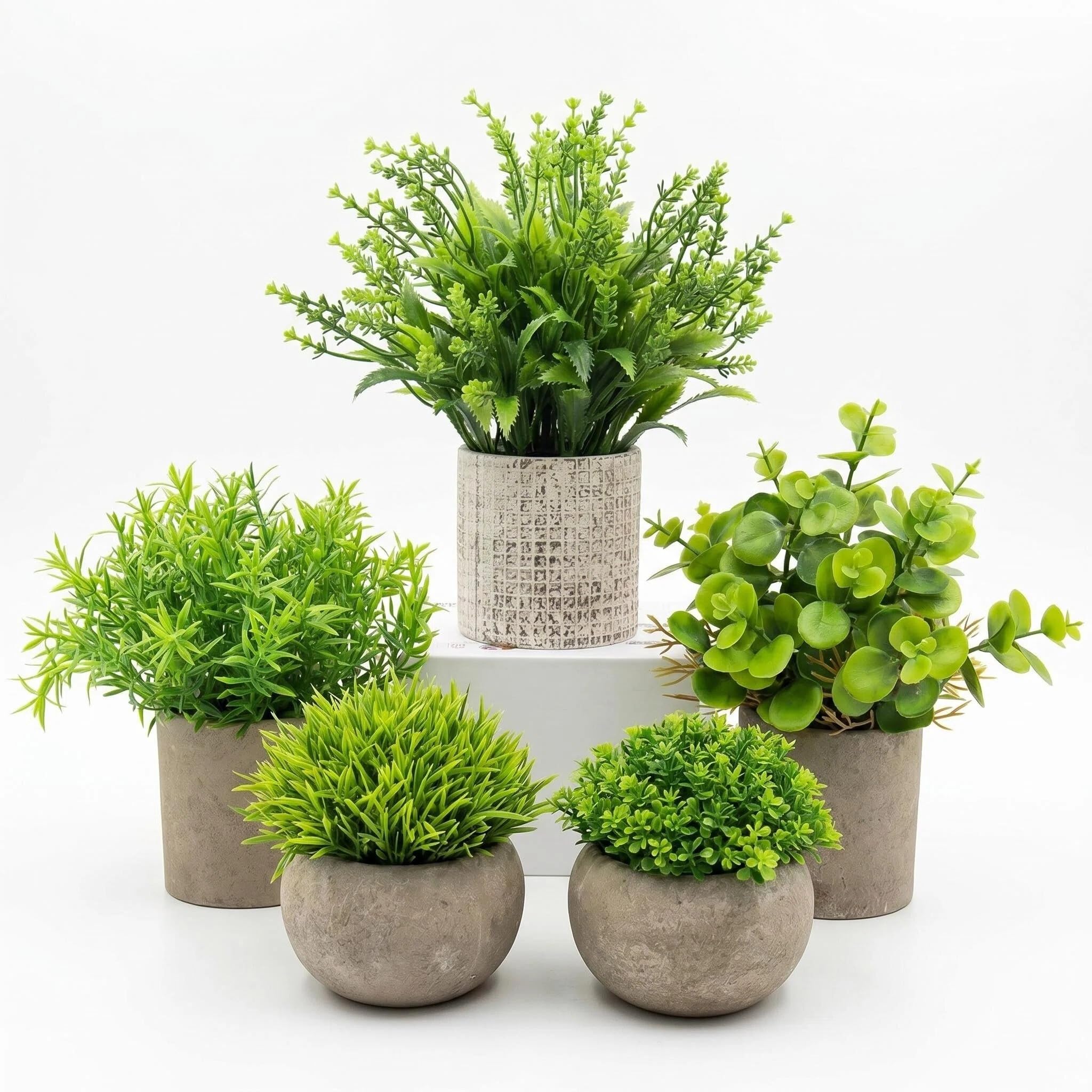 Fausse verdure réaliste et petites plantes de décoration intérieure