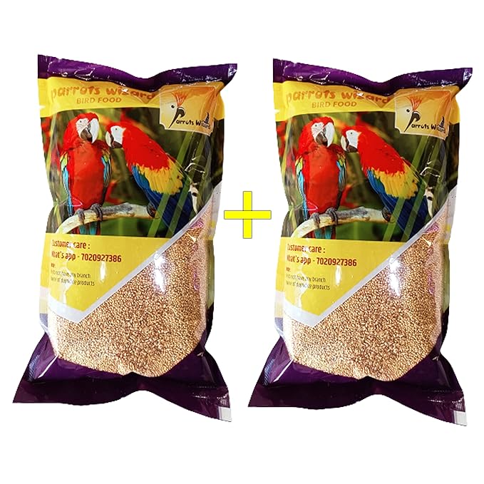 bird seed suppliers