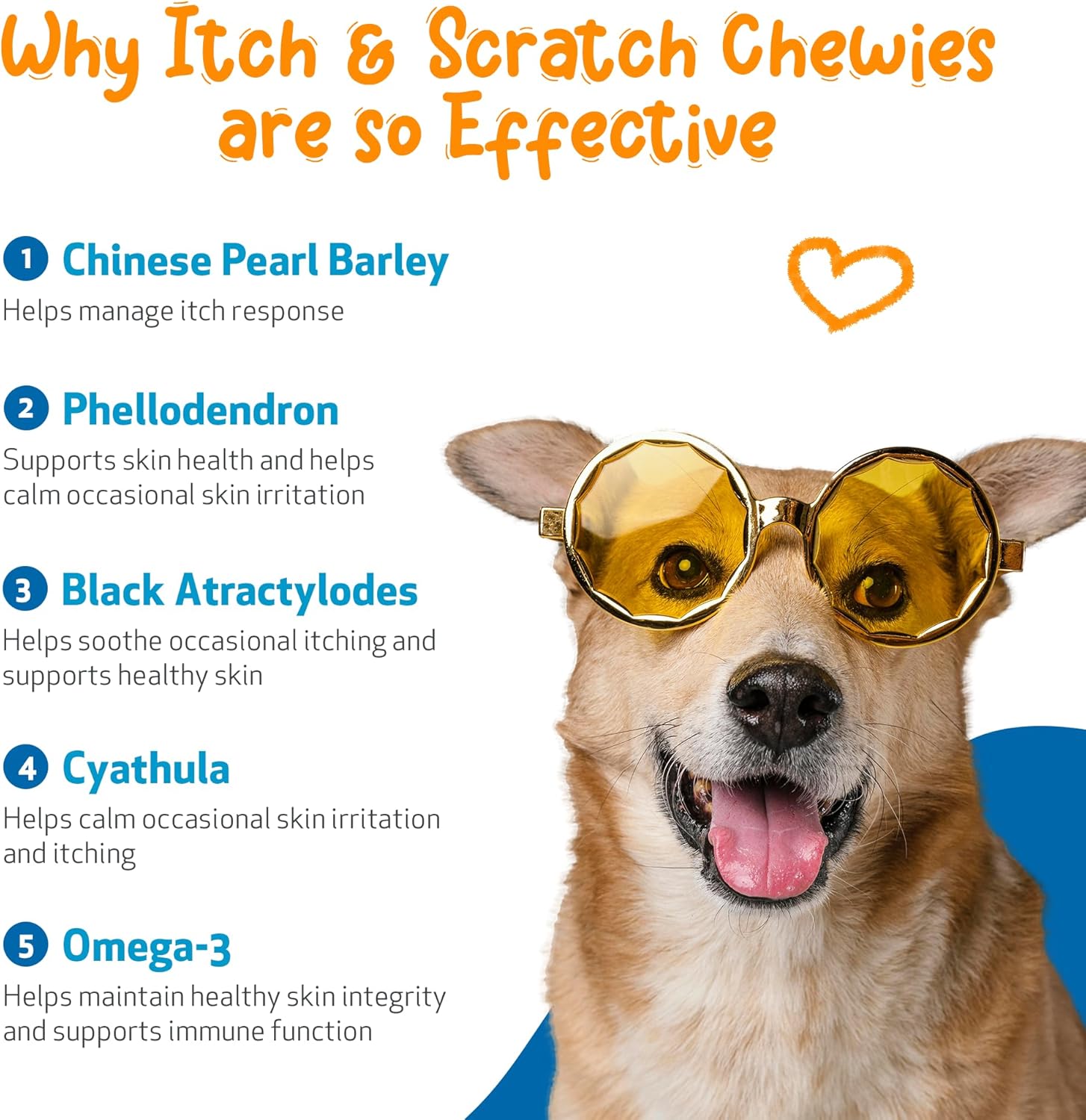 Pet Wellbeing Itch & Scratch Chewies for Dogs - Supports Healthy Itch Response to Occasional Skin Allergies, Skin Health, Chinese Pearl Barley, Phellodendron - Veterinarian-Formulated 90 Soft Chews