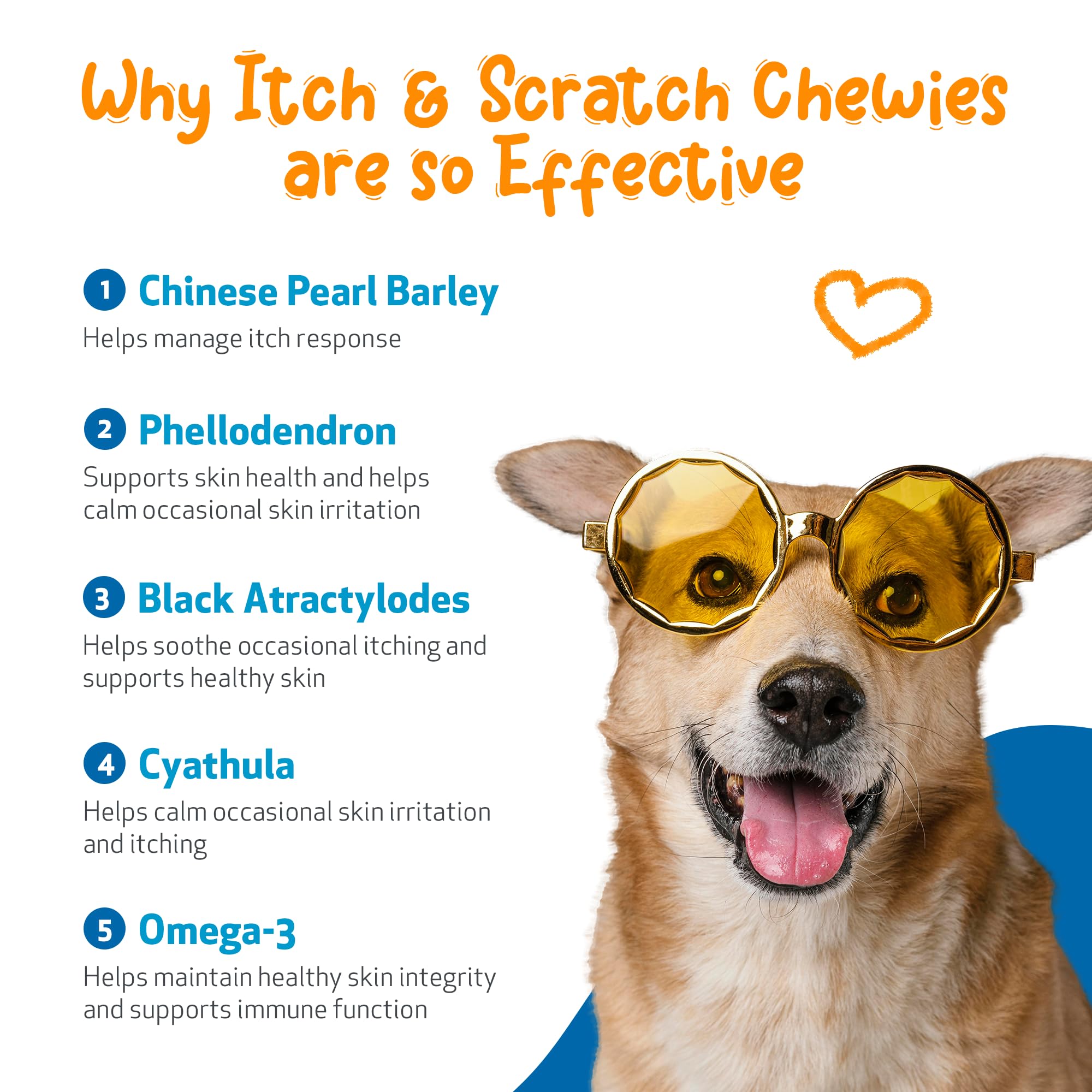 Soft paws 中文 (90) 사진