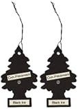 LITTLE TREES Car Air Freshener | Hanging Paper Tree for Home or Car | Black Ice | 2 Pack