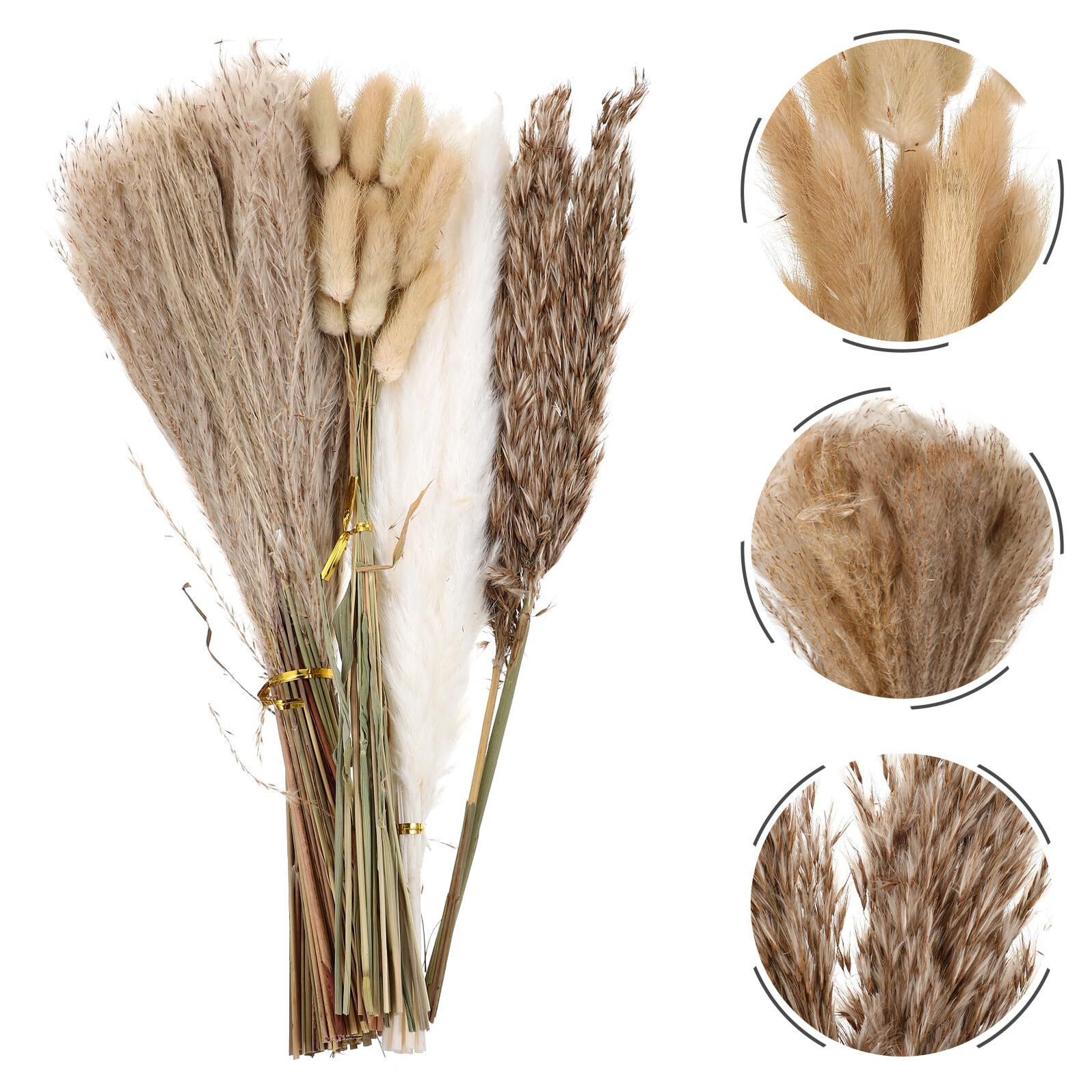 Flores Secas Preservadas de Phragmites en Caja Ramo Decorativo de Pampa Seca para Decoración Floral del Hogar Arreglo Floral sin Mantenimiento Accesorio DIY