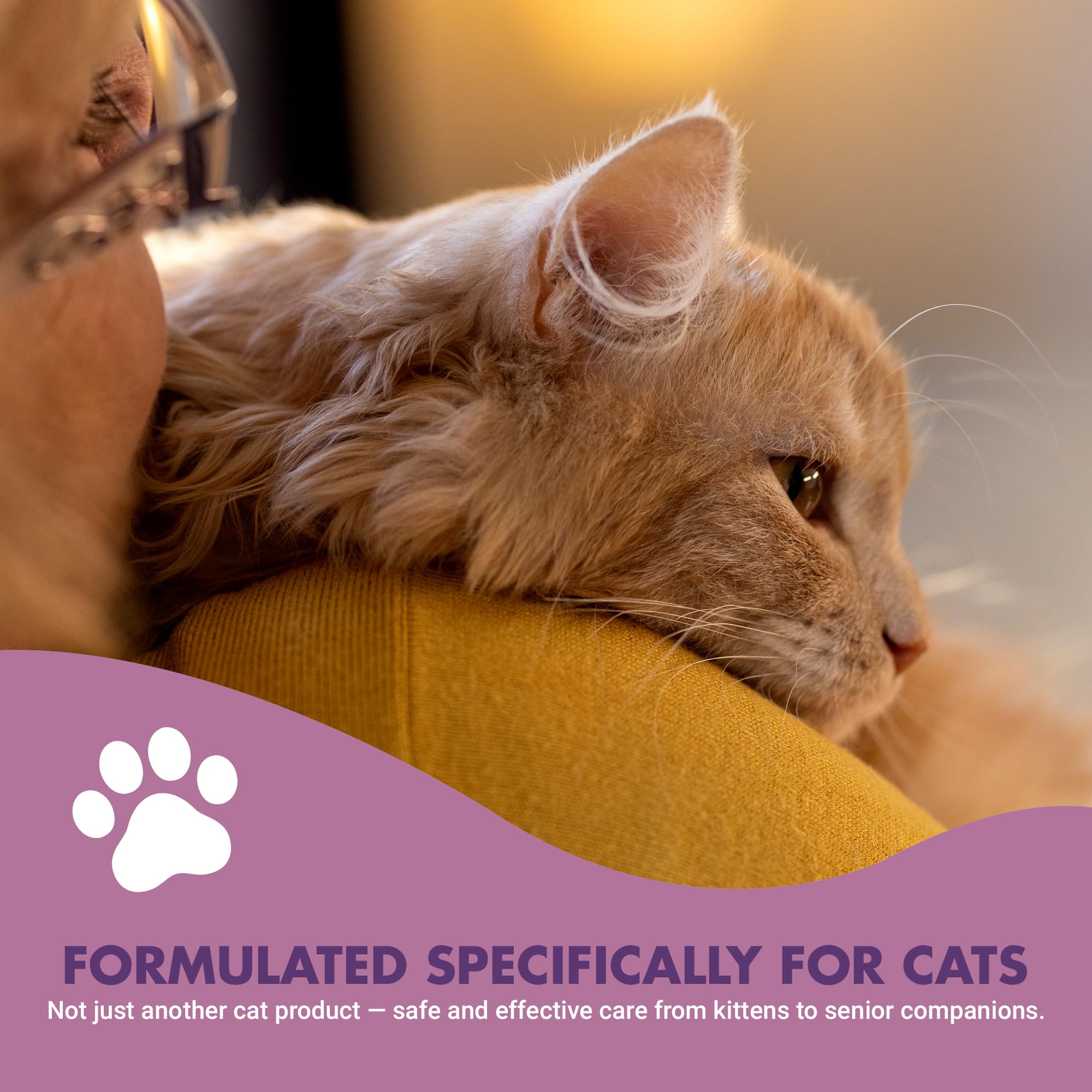 LIQUID-VET Advanced Cat Calming Care Formula with Chamomile & L-Theanine – Ultimate Cat Calm and Solution for Daily Mental Support and Relaxation - image 7