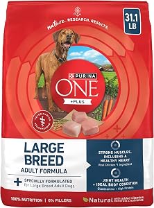 Pet Supplies