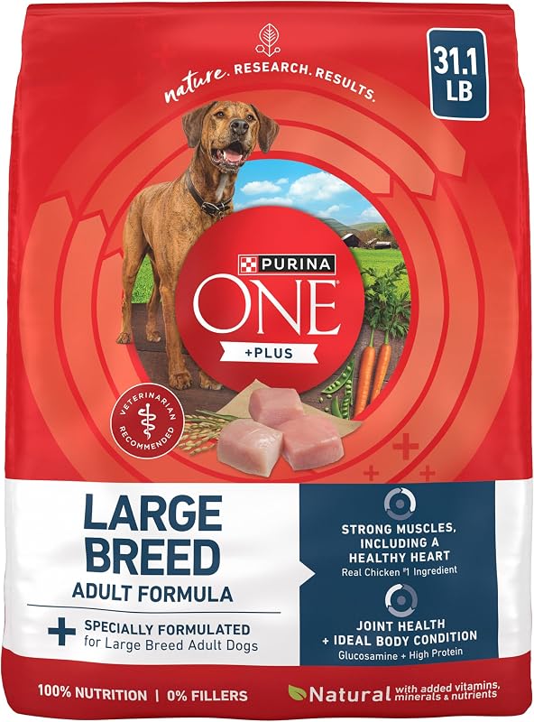 Purina ONE Plus Adult, alimento seco para perros de raza grande, pollo, bolsa de 31,1 lb | Pollo real como primer ingrediente, con antioxidantes para la inmunidad y ácidos grasos omega-6 para un pelaje brillante.