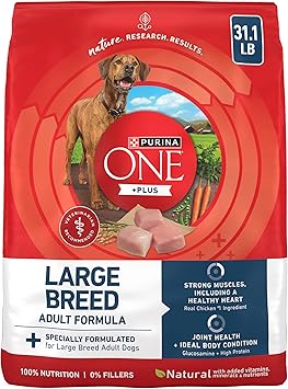 Purina One +Plus Dry Dog Food for Large Adult Dogs High Protein, Real Chicken - 31.1 lb Bag