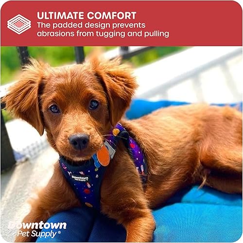 Miniatura 6 de Downtown Pet Supply - Arnés ajustable para perros pequeños, antitirones, XS, diseño espacial, tela de malla acolchada y borde reflejante, arnés de