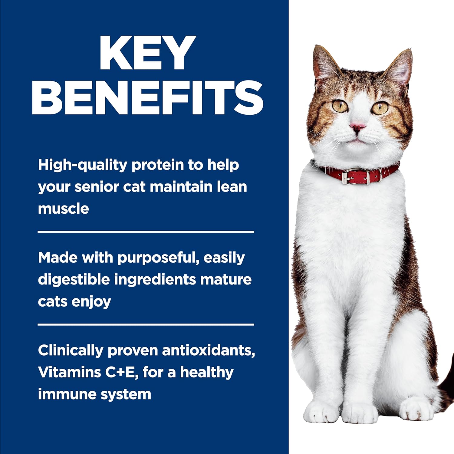 Hill's Science Diet Adult 7+, Senior Adult 7+ Premium Nutrition, Wet Cat Food, Chicken Minced, 5.5 oz Can, Case of 24