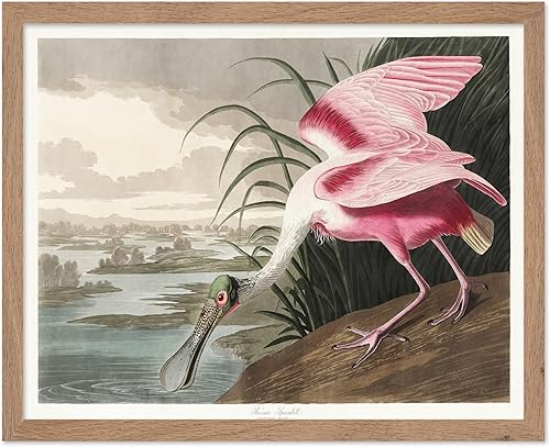 Miniatura 52 de Poster Master Póster vintage de colibríes, impresión de formas de arte retro en la naturaleza, arte de pájaros, regalo para él, ella y amante de los