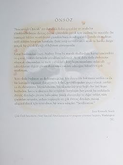 Avucundaki Öpücük: New York Times- 1 Bestseller