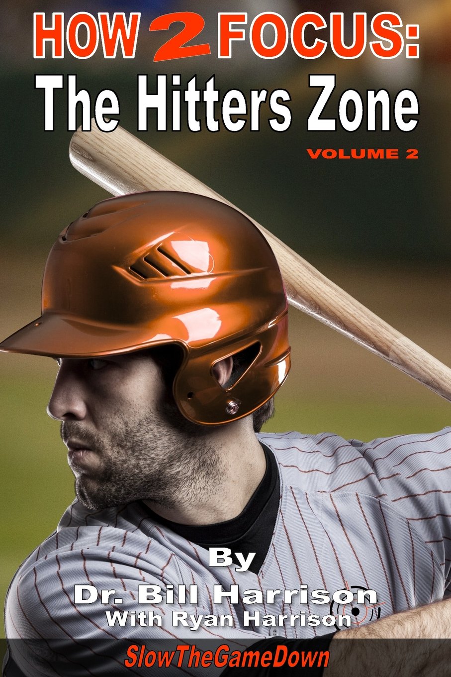 How2Focus: The Hitters Zone (How2Perform)