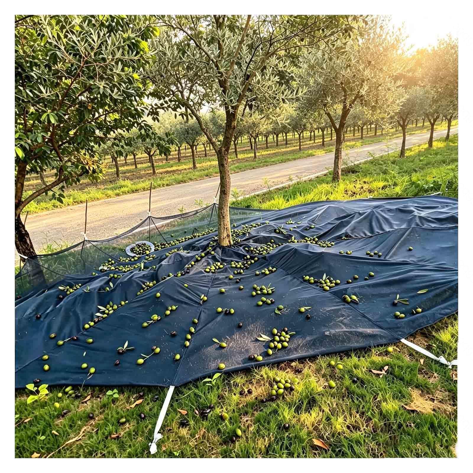 Rongyewxae Fruit Harvesting Net, with Center Opening, Export Hoop Fruit Collector Harvesting Net Easy Picking Reusable for Yard and Orchard,Round-23×23FT(7×7m)