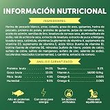 Ver la foto 8