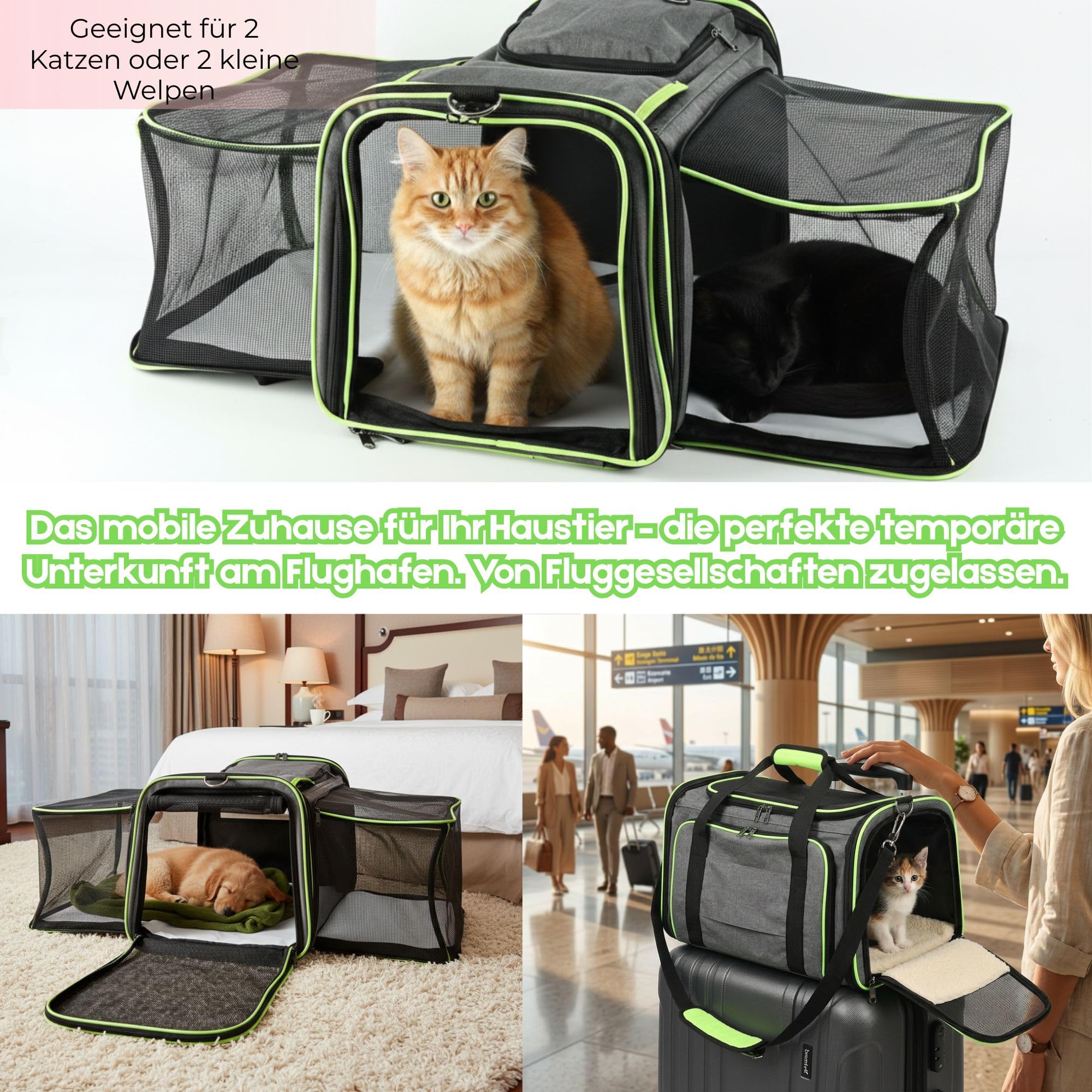 SOLDAY Erweiterbare Katzentransportbox für 2 Katzen, Flugtauglich, 8 kg | Faltbare Katzen Transportboxen, 2-seitige Erweiterung, Multi Eingänge, selbstsichernde Reißverschlüsse, 48x30x31cm, Grau-Grün