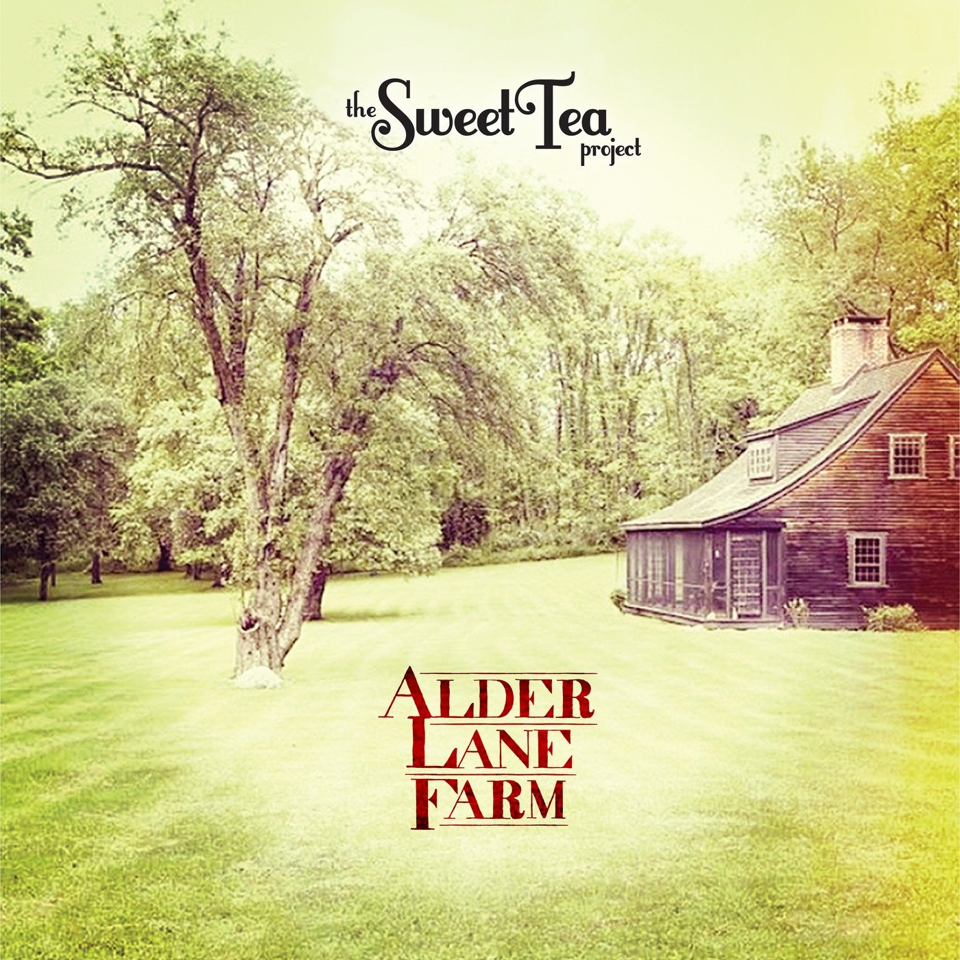The Sweet Tea Project