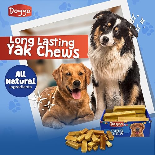Miniatura 3 de Masticables prémium de queso de yak del Himalaya para perros - Masticables naturales de yak para perros grandes y pequeños - Masticables de leche de