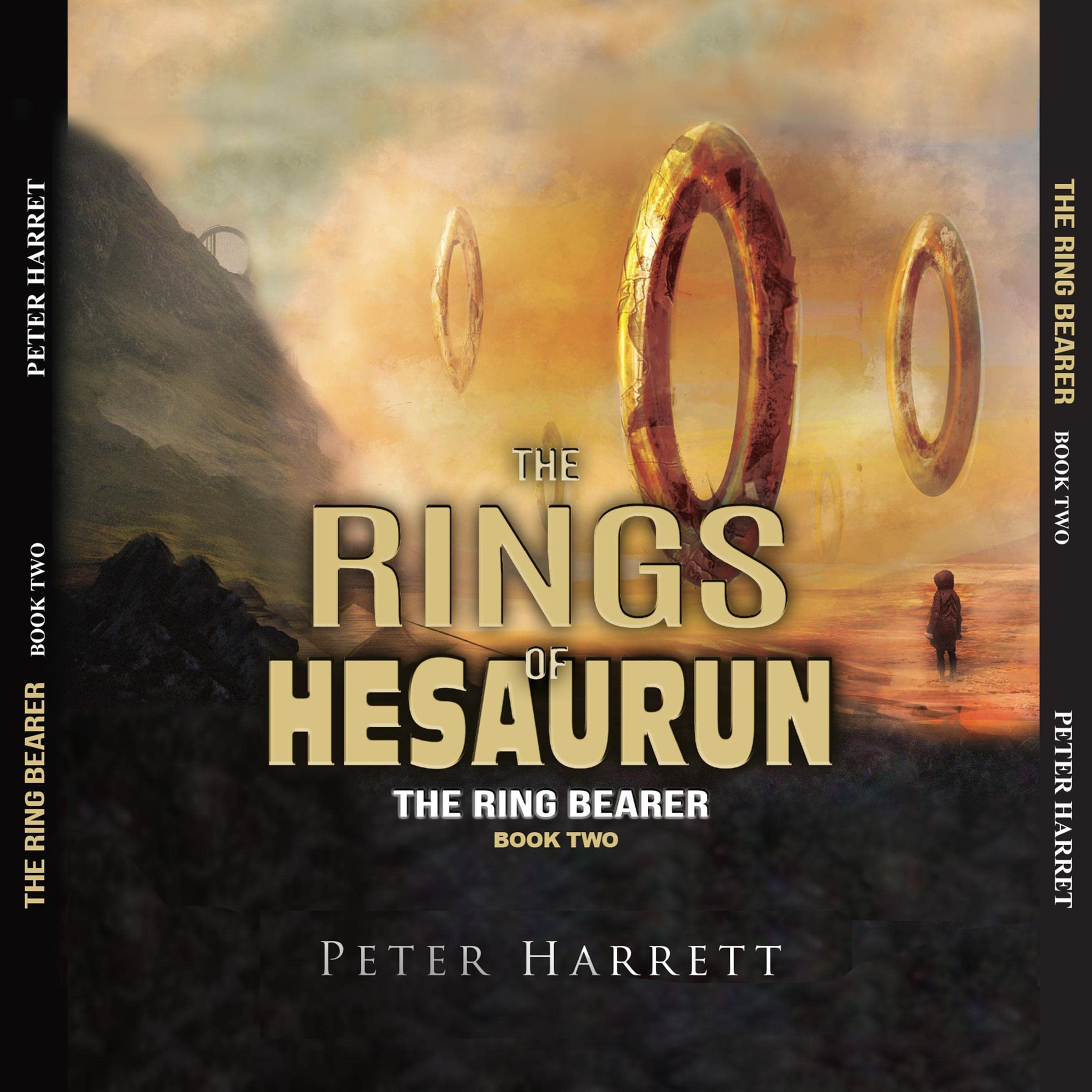 Cover art for The Rings of the Hesaurun