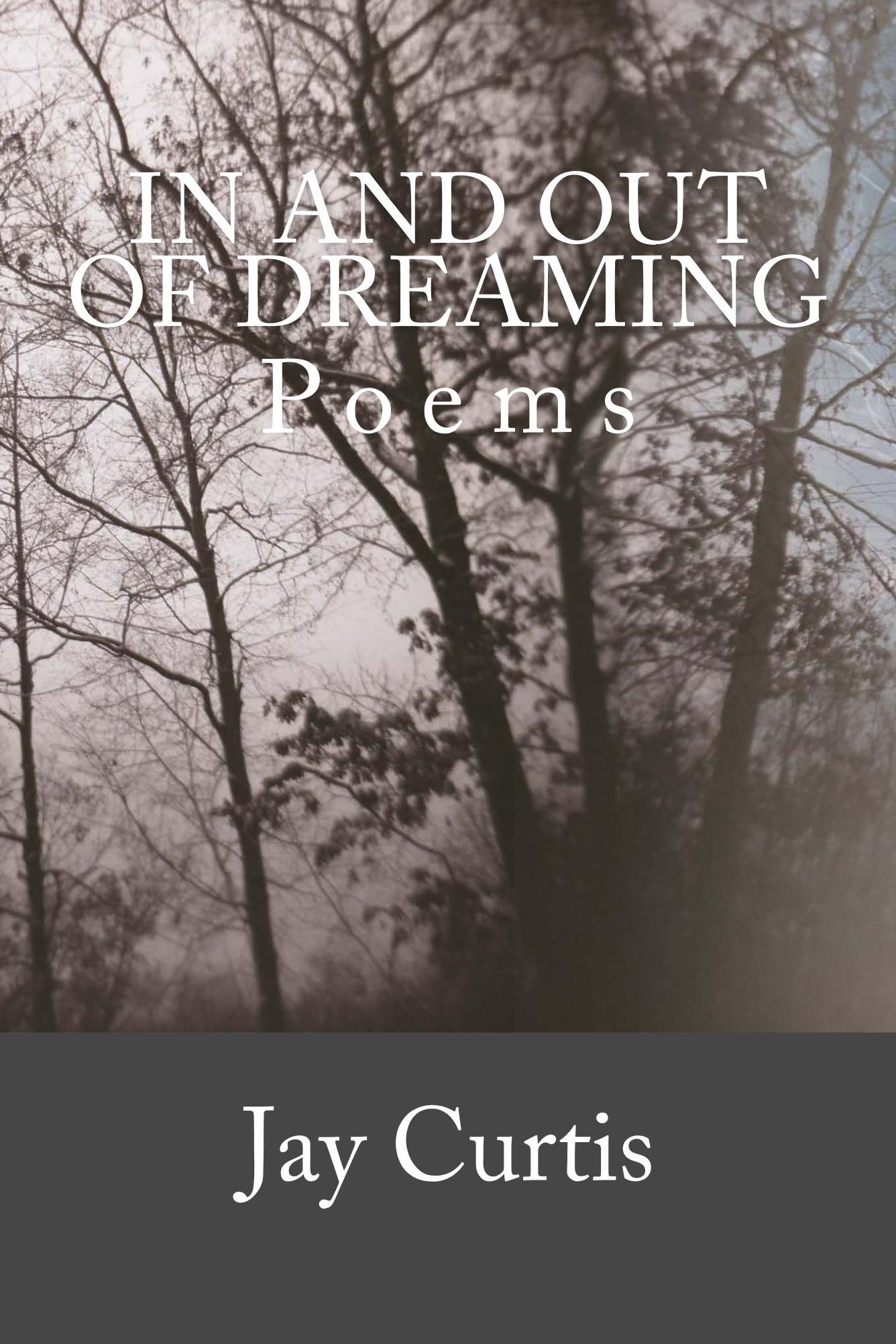 In and Out of Dreaming (Lexingford Series in Contemporary Poetry Book 6)