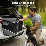Ver la foto 5