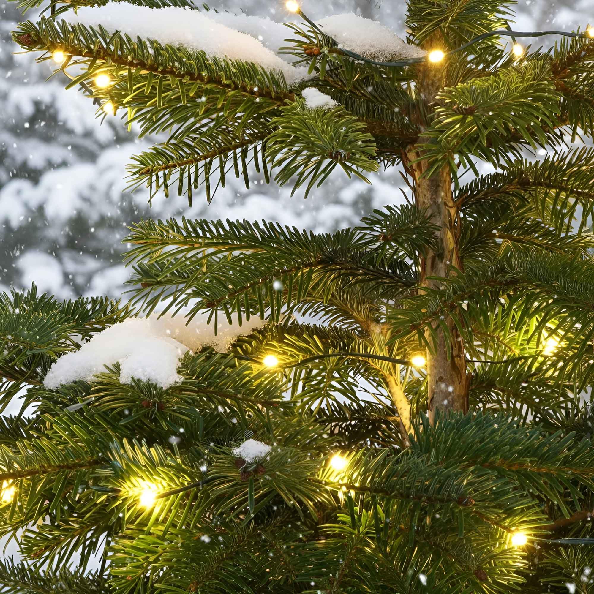 Qbis Battery Powered Outdoor Lights Multifunction with Timer. Warm White Outdoor Fairy Lights on Green Wire Perfect for Your Christmas Tree or Garland. Micro LED String Lights. (60 LED Green Wire)