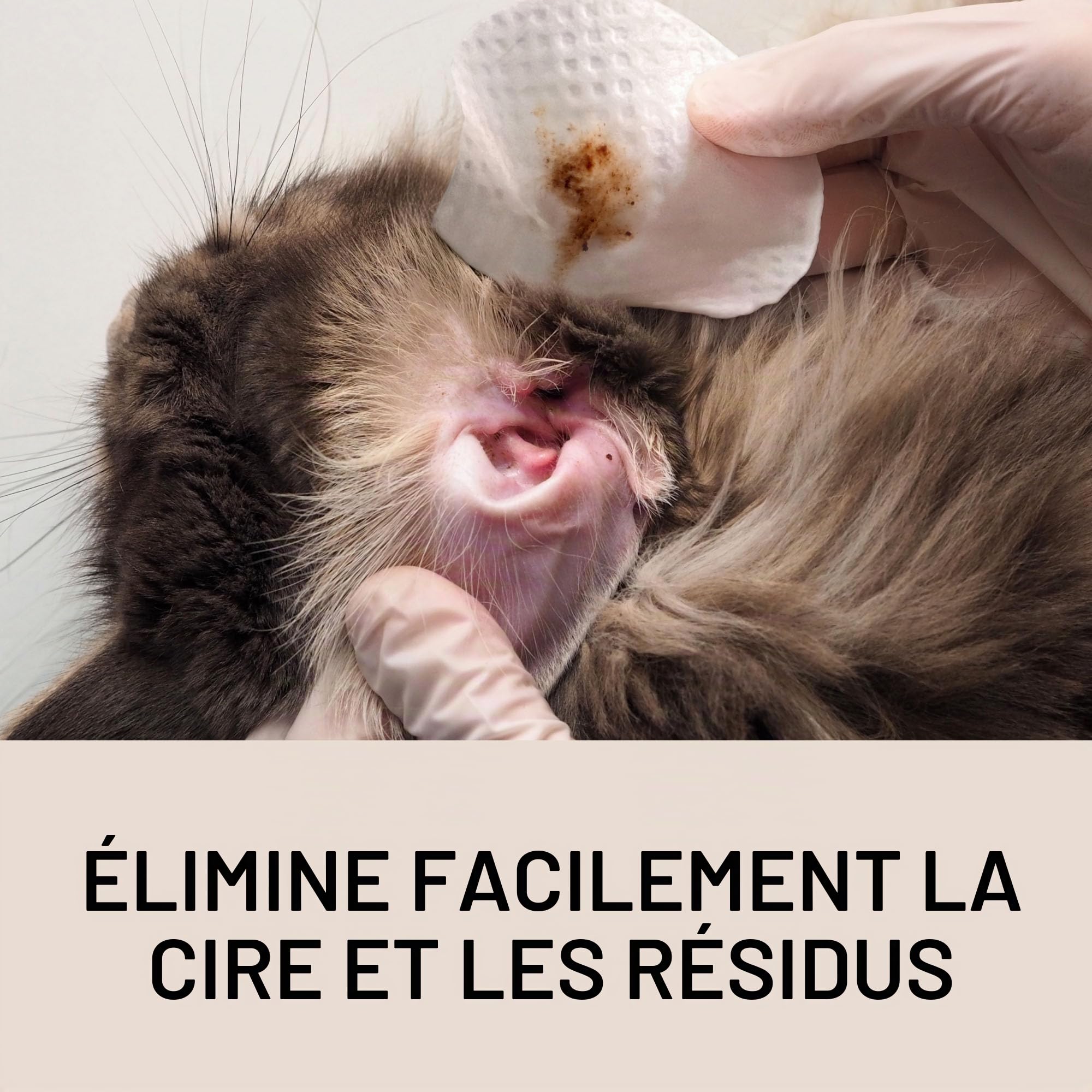 Eye Envy – Lingettes Nettoyantes pour Les Oreilles des Chats, Fabriquées aux États-Unis avec des Ingrédients Naturels, Non Parfumées, Sûres et Non Irritantes, Préviennent Les Infections, 60 Lingettes