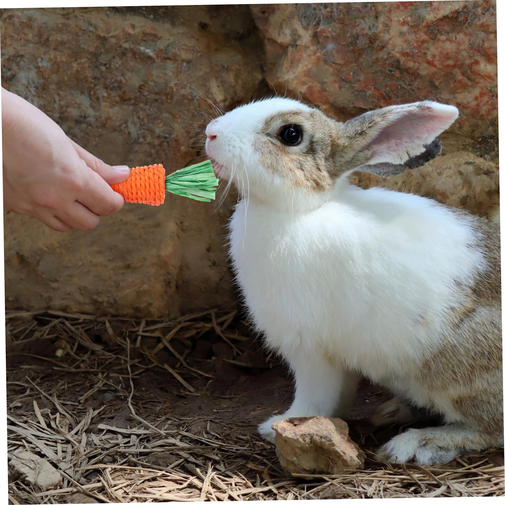 SUPVOX 30pezzi Giocattoli Per Conigli Naturale Giocattoli Da Masticare e Confortanti Per Piccoli Animali Per Roditori Come Conigli Porcellini e Scoiattoli