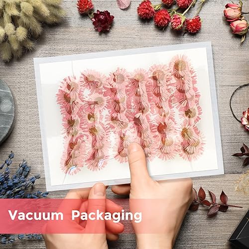 Miniatura 3 de 60 flores rosadas secadas vestidas para decoración de resina, flores secas naturales, aguja crisantemo para lámpara de escritorio, manualidades,