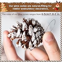 Vista 2 de Whaline 25 piñas de pino natural de Navidad a granel, piñas rústicas de nieve con cadena de piña, colgante de cono de pino, adorno colgante
