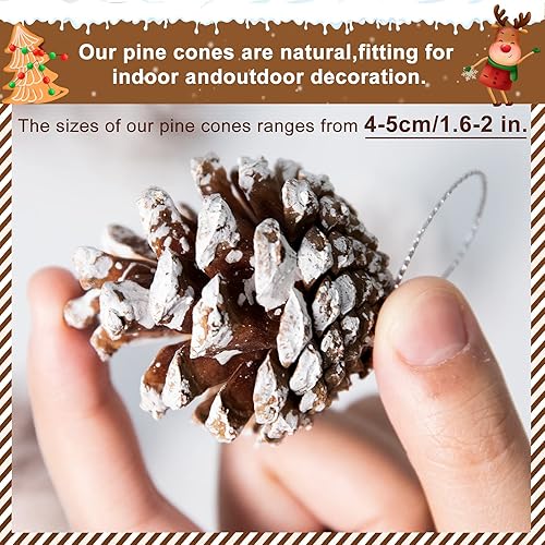 Miniatura 2 de Whaline 25 piñas de pino natural de Navidad a granel, piñas rústicas de nieve con cadena de piña, colgante de cono de pino, adorno colgante de
