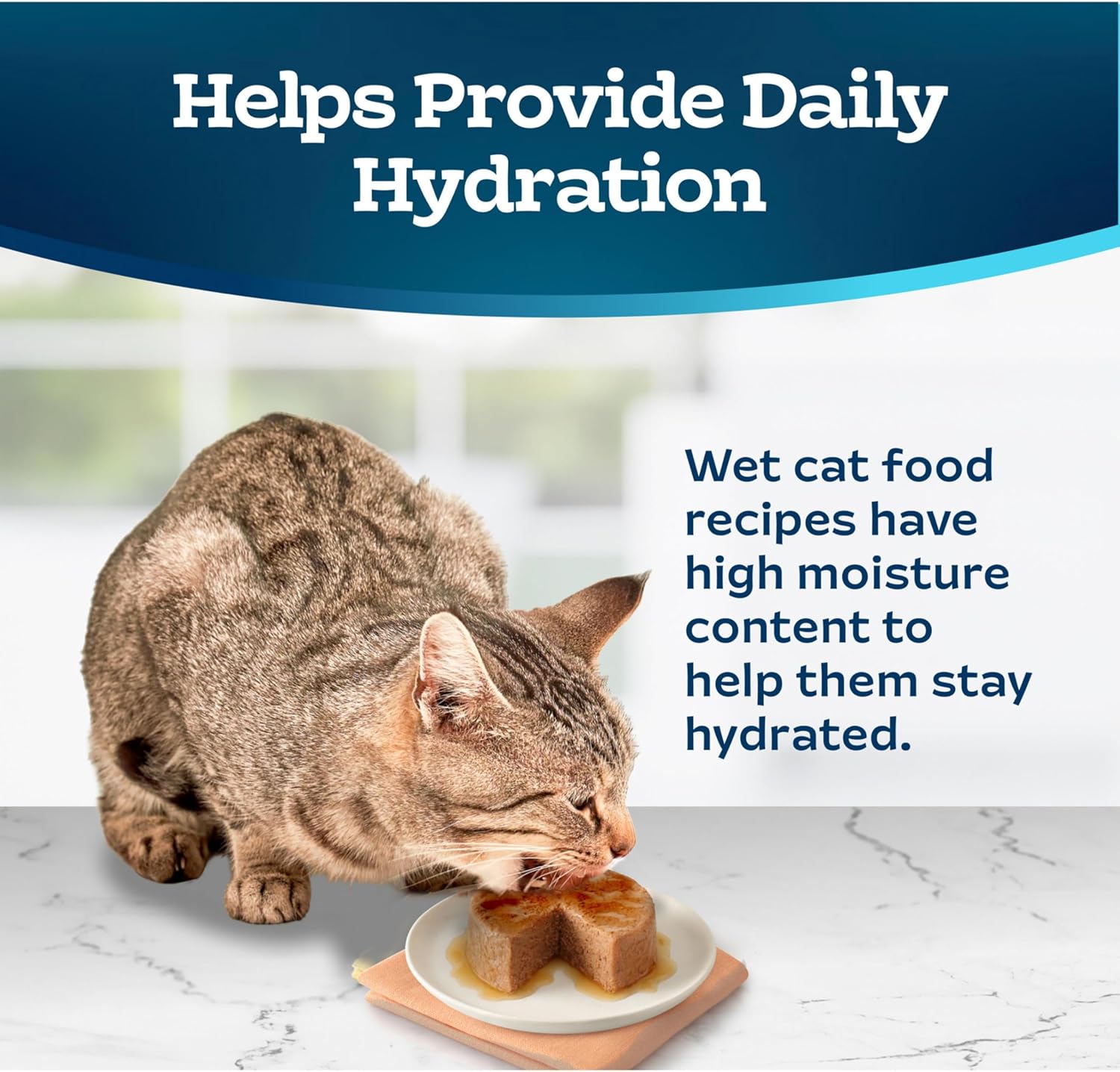 Blue Buffalo Tastefuls Wet Cat Food Paté,Made with Natural Ingredients,Ocean Fish and Tuna Entrée,5.5-oz Cans,(Pack of 48)