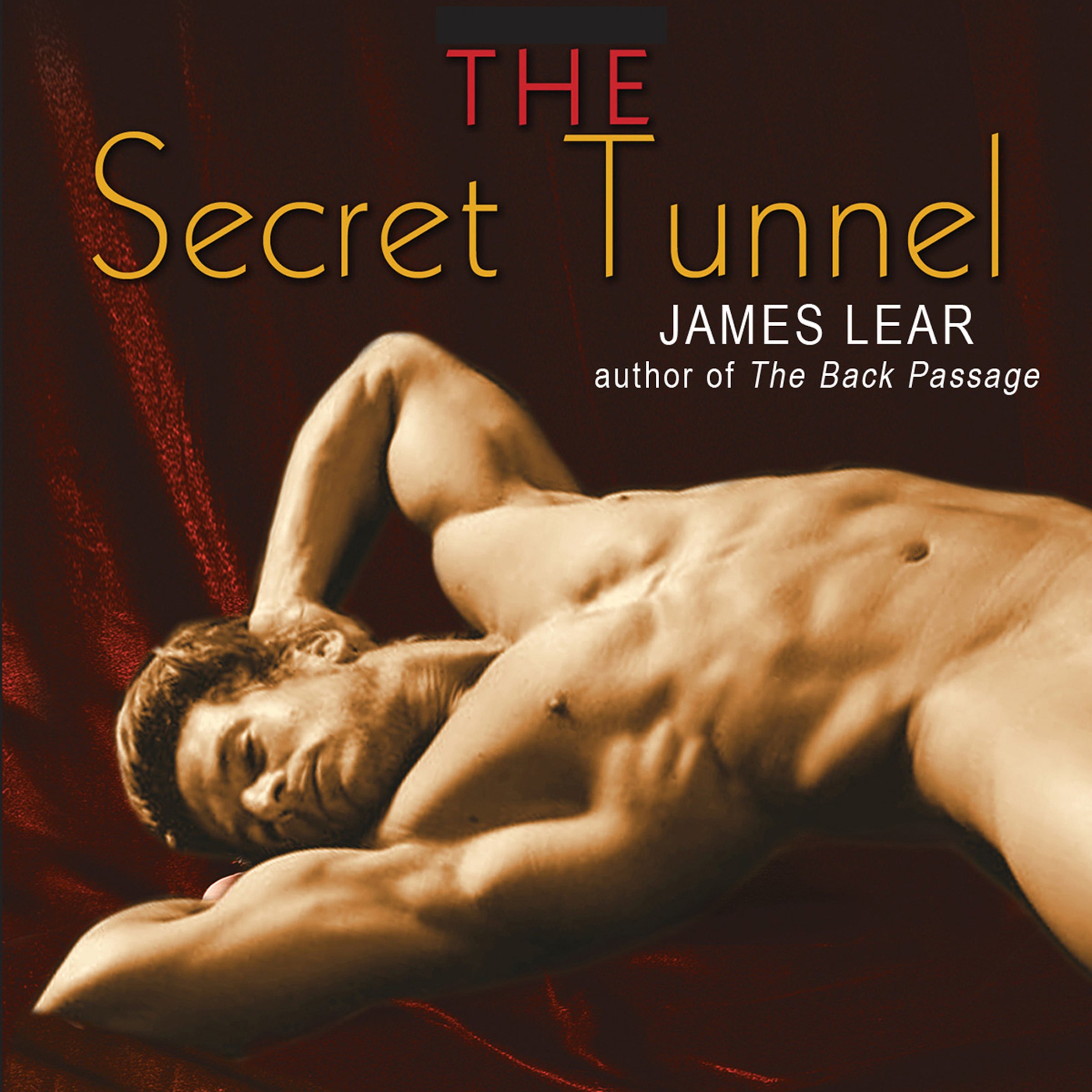 The Secret Tunnel