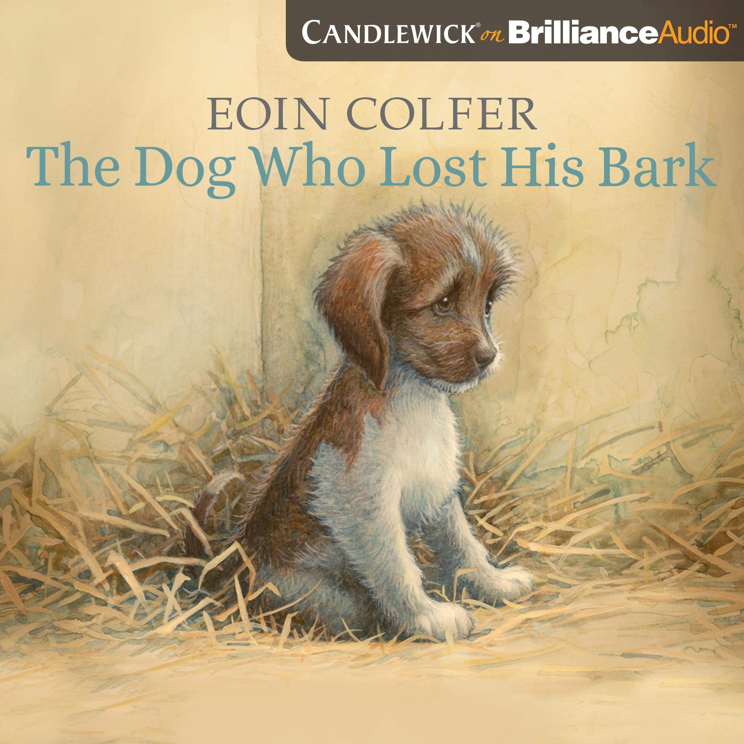 Cover art for The Dog Who Lost His Bark