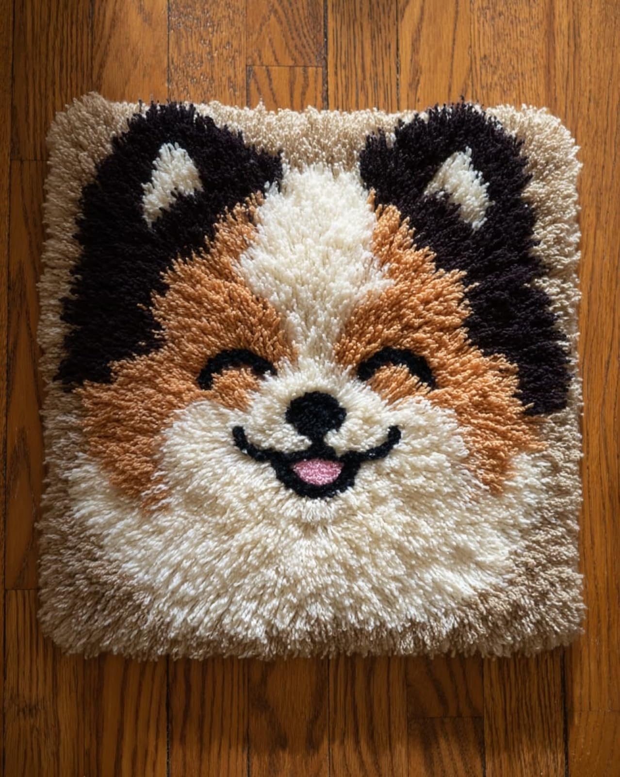 Wallphantom Rug Making Kit for Adults Beginners,Happy Pomeranian,Latch Hook Cushion Kits,Carpet Embroidery Needlework Crocheting,Tapestry for Home Decoration,80x115cm