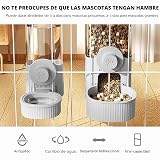 Ver la foto 3