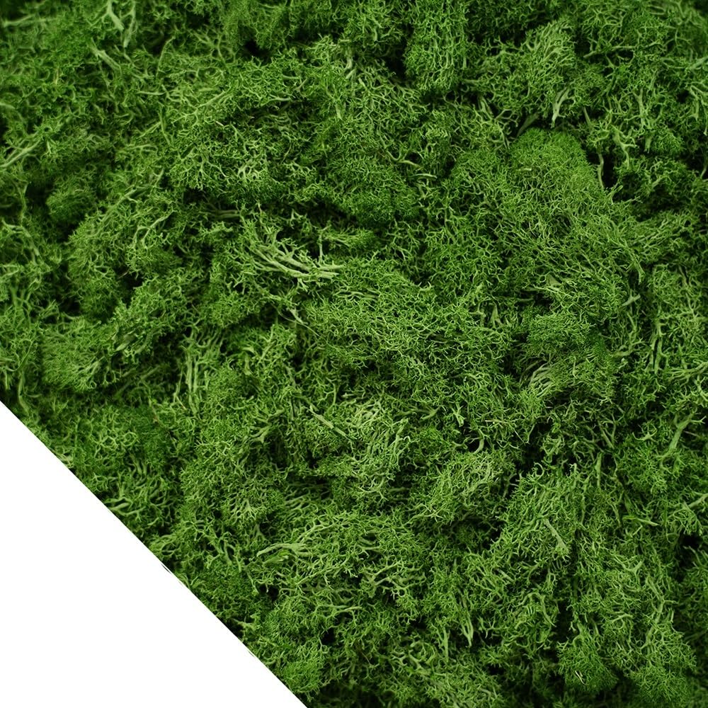 HZLXF1 Artificial Green Plants Eternal Moss,DIY Crafts Grass Home Room Decor(Green,50g)