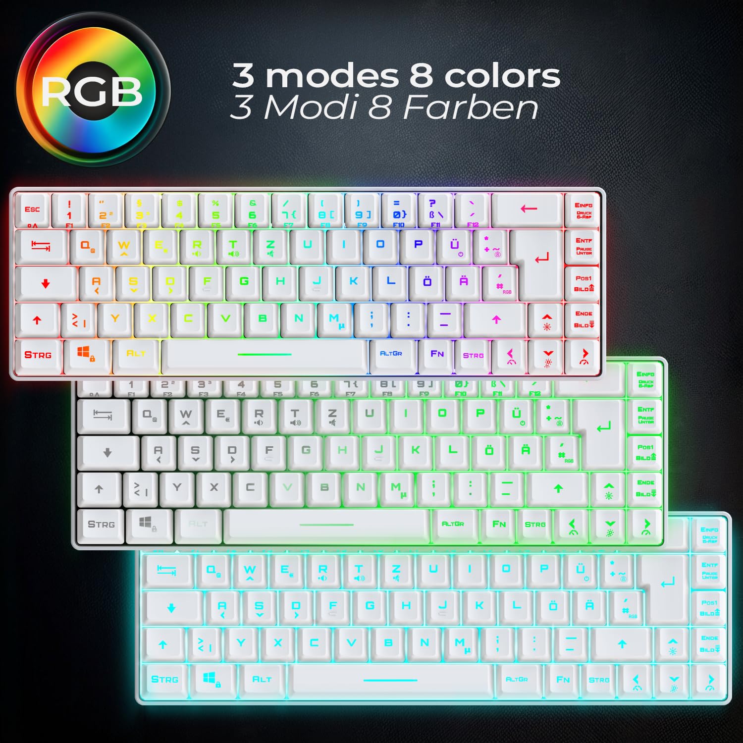 EMPIRE GAMING - K208 Kompakte TKL-Kabelgebundene Tastatur (DE-QWERTZ) 69 Tasten RGB - Abnehmbares USB Type C Kabel Plug & Play - PC/PS4/PS5/Xbox - 23 Anti-Ghosting-Tasten (Weiß)